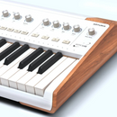 Arturia AstroLab 61-key Stage Keyboard