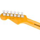 Fender American Professional Stratocaster Maple Fingerboard - Black
