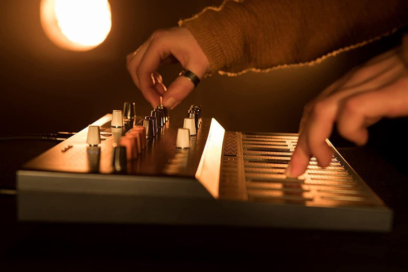 Arturia MICROFREAK Synthesizer, Hybrid Digital Analog Programmable Synthesizer