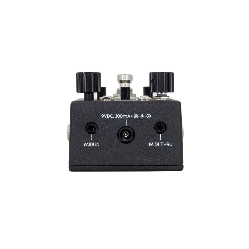 Walrus Audio Canvas Rehearsal Pedal