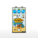 Summer School Electronics Spring Break Reverb Pedal