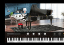 Arturia Piano V3 License