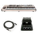 Arturia Polybrute 12 W/ Dunlop DVP4 Expression Pedal and 10' TRS