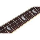 Schecter Stiletto Extreme-4 Bass Guitar - See-Thru Black