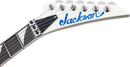 Jackson Limited Edition Legend Series Signature Scott Ian Rhoads RR22 NOT