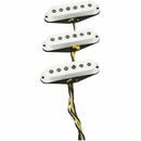 Fender Custom Shop Fat '60s Stratocaster Set with Mojotone Solderless Deluxe Strat Harness