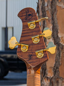 Ernie Ball Music Man 50th Anniversary StingRay Special - Molten Gold